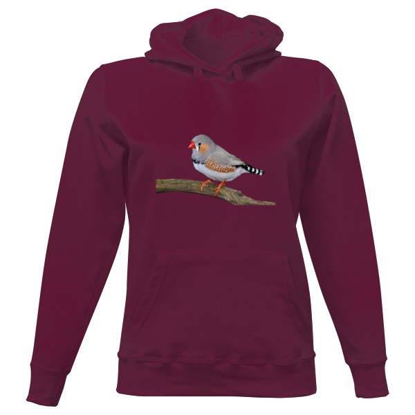 Dámská mikina s kapucí s potiskem Zebřička pestrá